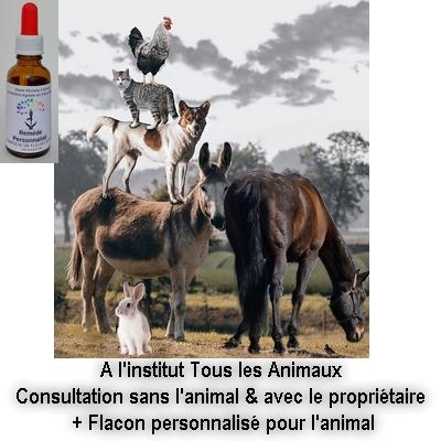 Animaux fleurs de bach conseillere agreee marie michele