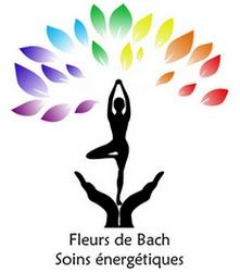 Logo final soins energetiques taille reduite marie michele flamant 1